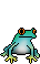 frog-164