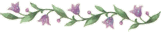 hoa_vang_14 hoa_vang_14